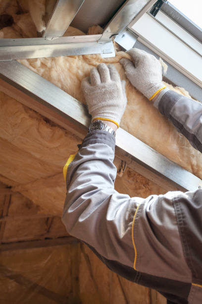 Best Insulation for Metal Buildings  in Chase City, VA